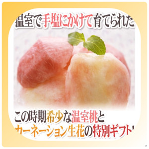 日本溫室水蜜桃(5顆裝/藍秀最高等級)