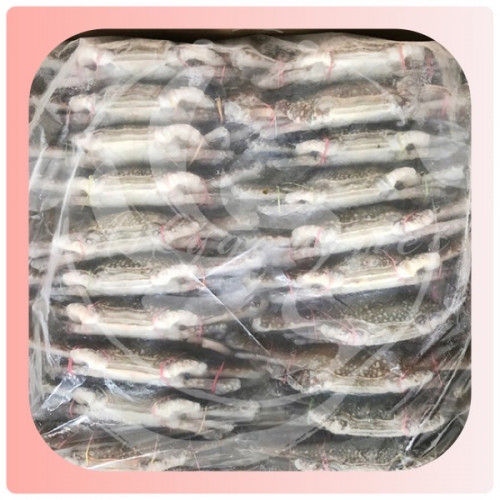 印度藍蟹150-200g/隻