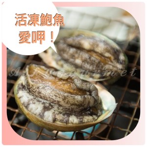 活凍鮑魚(18-20粒/kg)